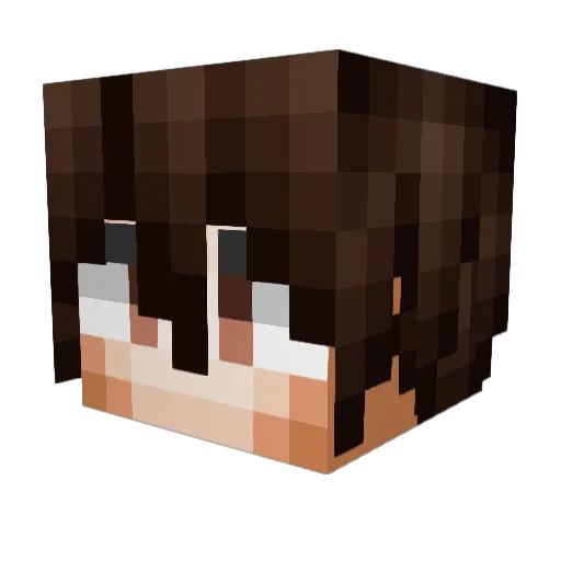 darthnater4ever Minecraft avatar head, 3D render