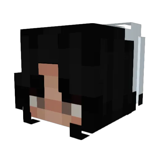 dartj3 Minecraft avatar head, 3D render