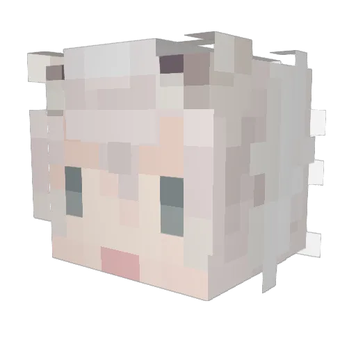 dartrose Minecraft avatar head, 3D render