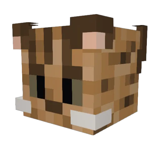 dartsmoker54 Minecraft avatar head, 3D render