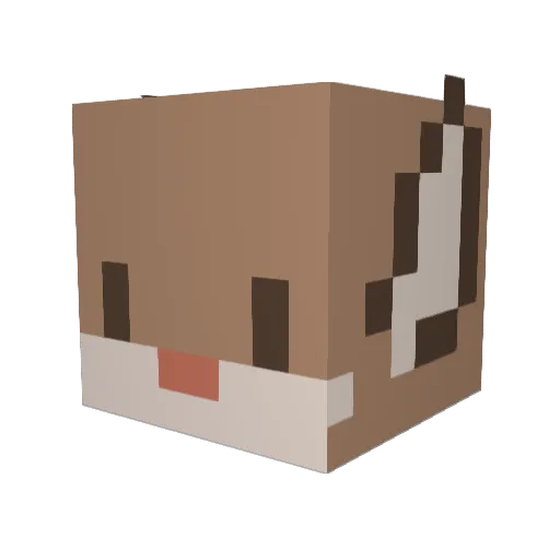 darwiinn1 Minecraft avatar head, 3D render