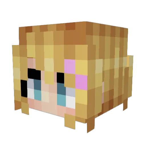 darwinsfrog Minecraft avatar head, 3D render