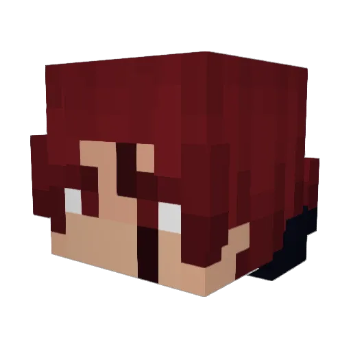 dasdadadsadfasd Minecraft avatar head, 3D render