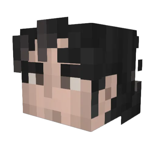 dash_arta Minecraft avatar head, 3D render