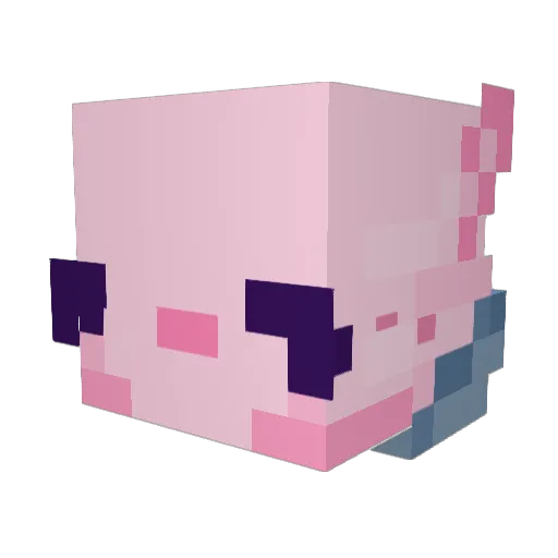dash_fishy Minecraft avatar head, 3D render