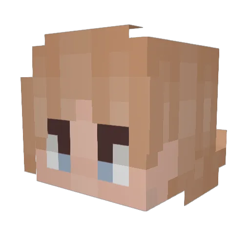 dasharkyt Minecraft avatar head, 3D render
