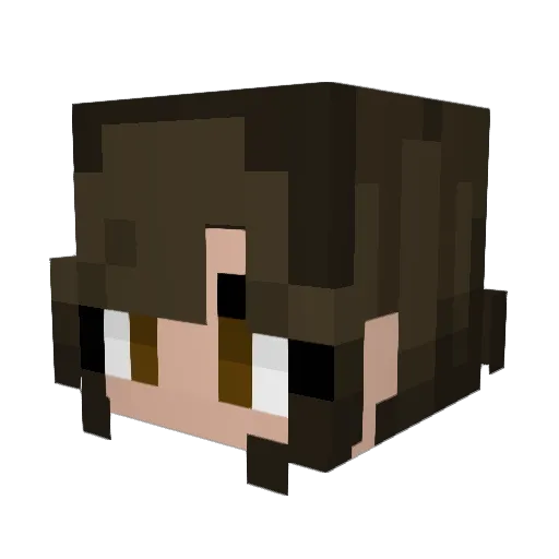 dashavyirl Minecraft avatar head, 3D render