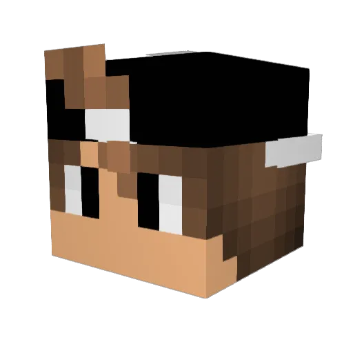 dashfinn Minecraft avatar head, 3D render