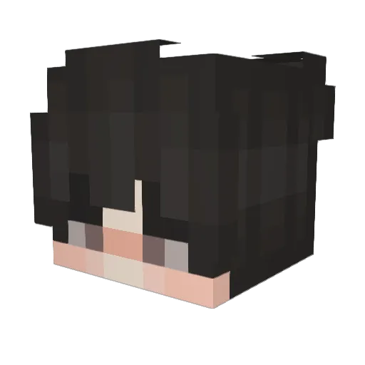 dashinkotic Minecraft avatar head, 3D render