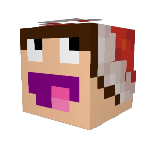 dashuai_bi Minecraft avatar head, 3D render