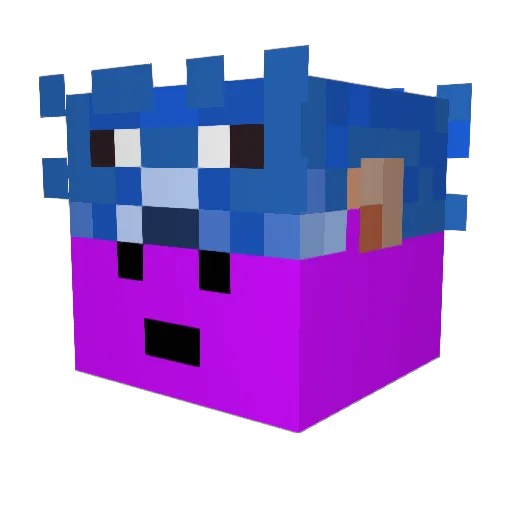 dasil1213 Minecraft avatar head, 3D render