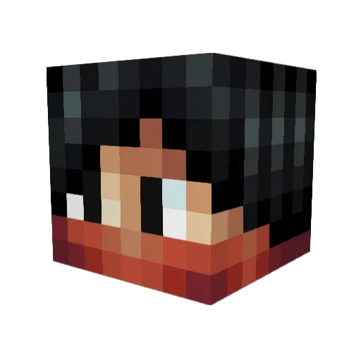 dassoawsome1198 Minecraft avatar head, 3D render