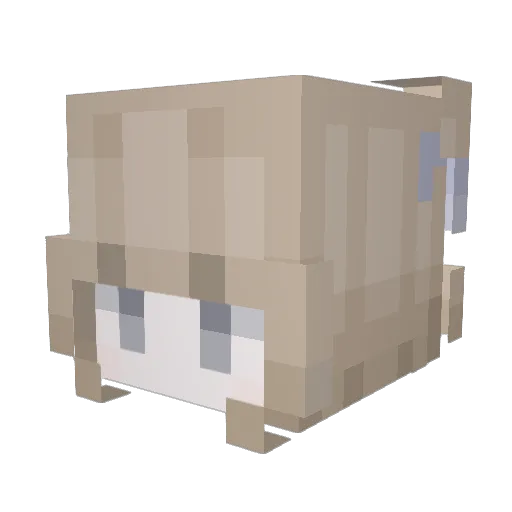 dassssstarke Minecraft avatar head, 3D render