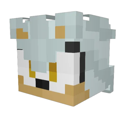dastardlydookie Minecraft avatar head, 3D render