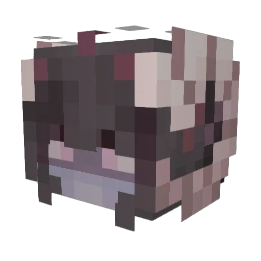 dasy7 Minecraft avatar head, 3D render
