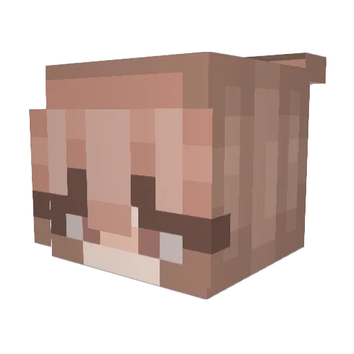 dat_bish Minecraft avatar head, 3D render