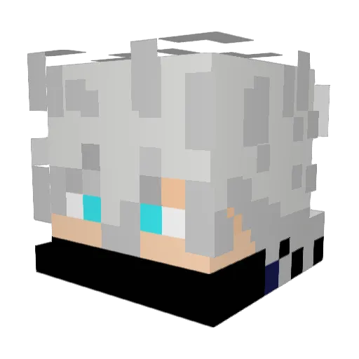 data_boi Minecraft avatar head, 3D render