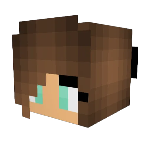 datboyskip21 Minecraft avatar head, 3D render