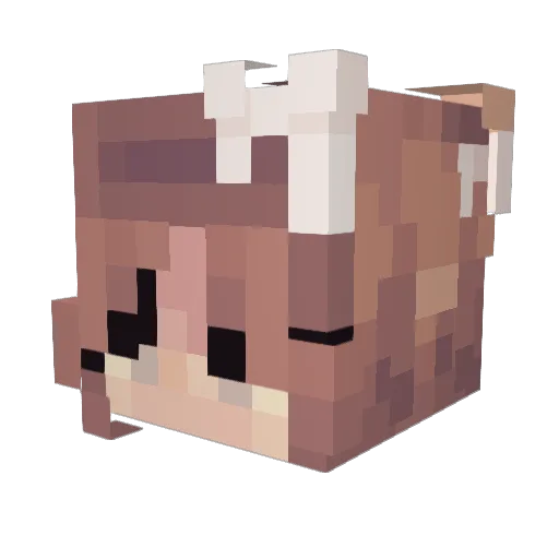 datickie Minecraft avatar head, 3D render