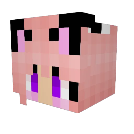 dauphin1 Minecraft avatar head, 3D render