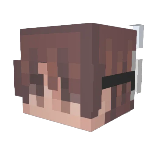 davanann Minecraft avatar head, 3D render