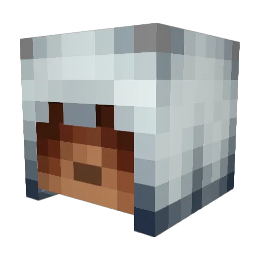daver7810 Minecraft avatar head, 3D render