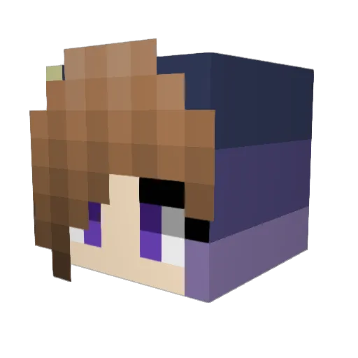 daveryansingh Minecraft avatar head, 3D render