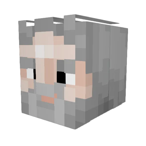 davetheslave421 Minecraft avatar head, 3D render