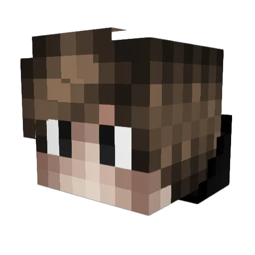 david0202yt Minecraft avatar head, 3D render