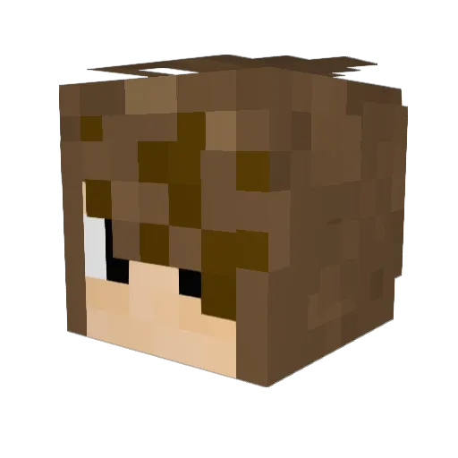 david9428 Minecraft avatar head, 3D render