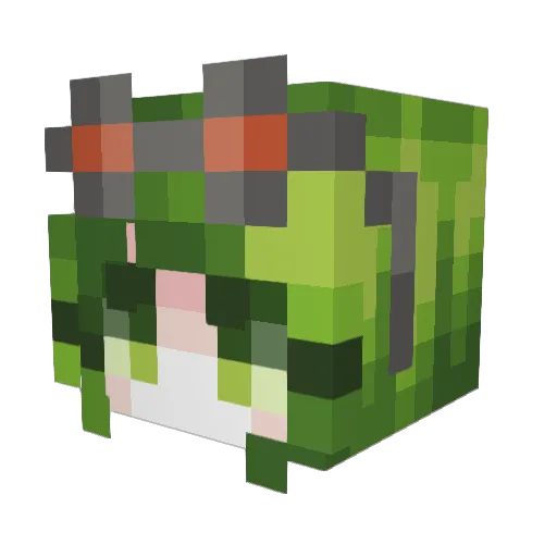 davidhose Minecraft avatar head, 3D render