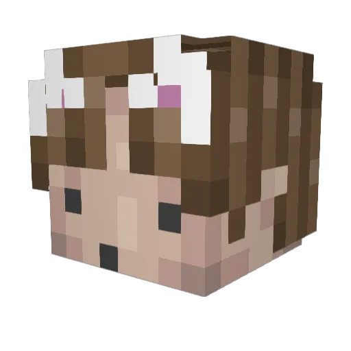 davidinthestudio Minecraft avatar head, 3D render