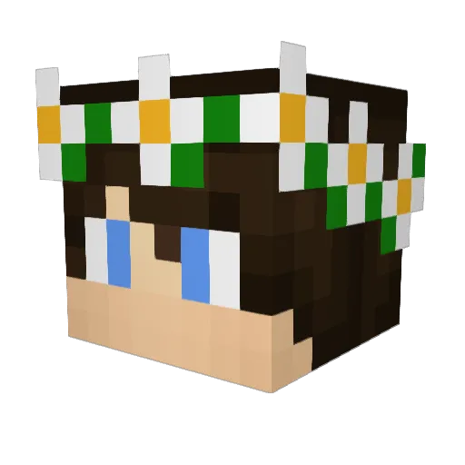 davidiszooted Minecraft avatar head, 3D render