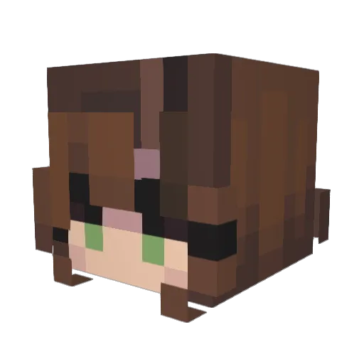 davidswifey Minecraft avatar head, 3D render