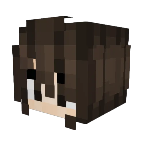 davidthekookie Minecraft avatar head, 3D render