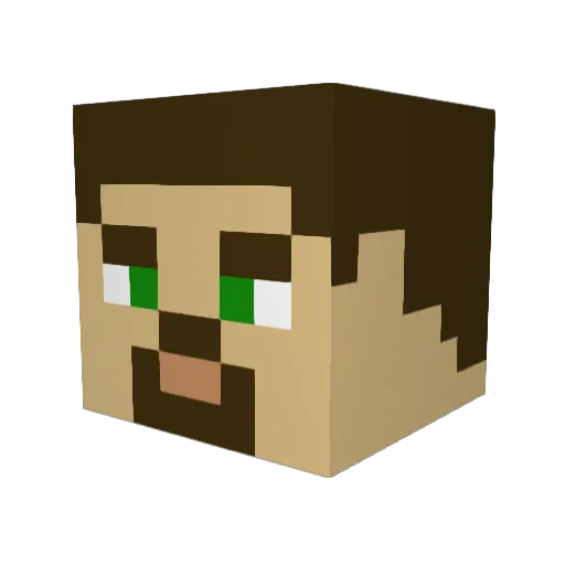 davidvechter Minecraft avatar head, 3D render