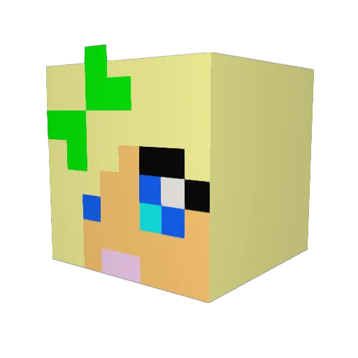 davidw94 Minecraft avatar head, 3D render