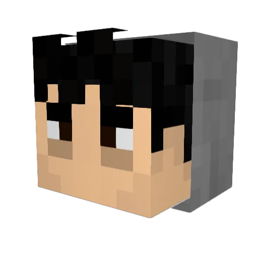 daviidx2 Minecraft avatar head, 3D render