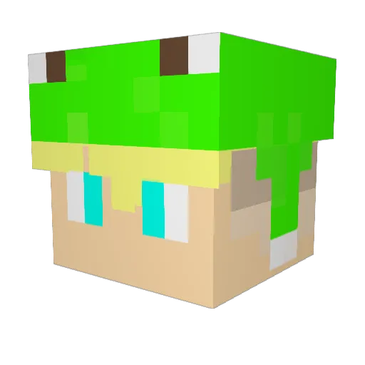 daviss22 Minecraft avatar head, 3D render