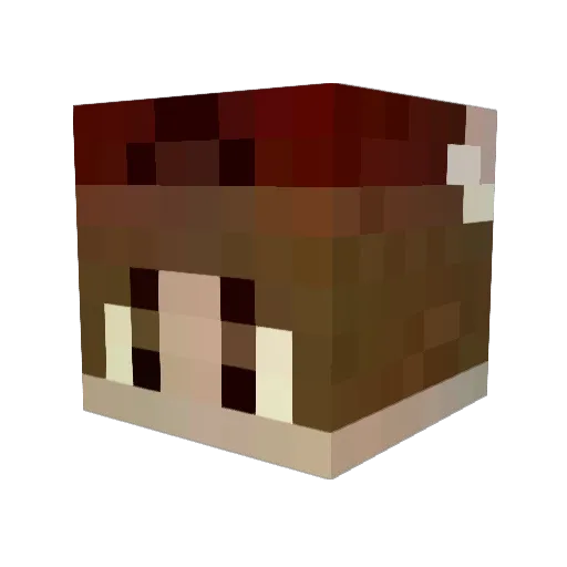 davoo93 Minecraft avatar head, 3D render