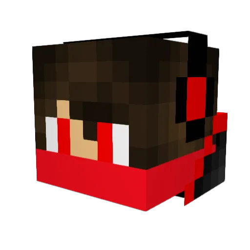 dawgbra Minecraft avatar head, 3D render