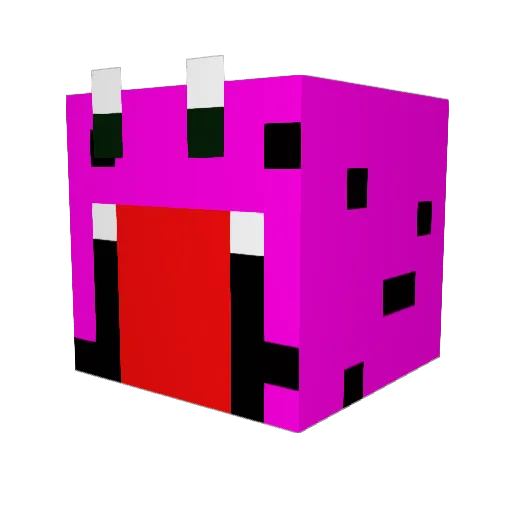 dawgg14 Minecraft avatar head, 3D render