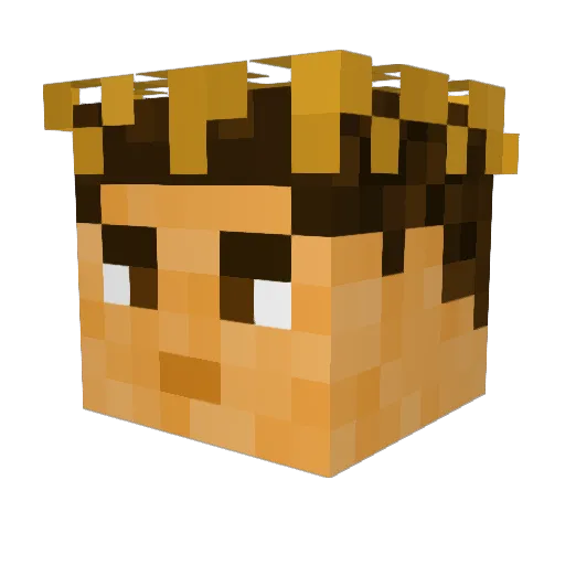 dawidxoxx Minecraft avatar head, 3D render