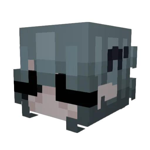 dawnuwu Minecraft avatar head, 3D render