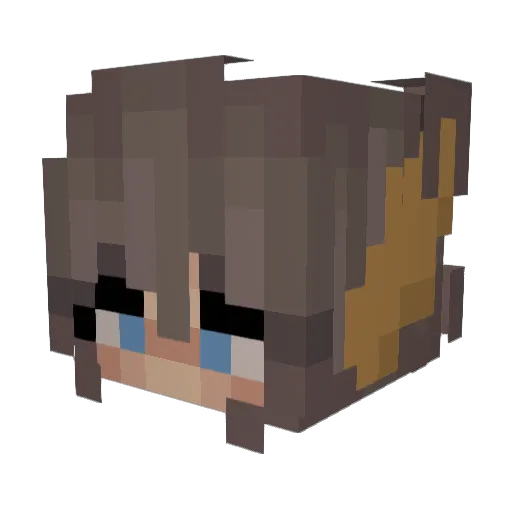 dawosyt77 Minecraft avatar head, 3D render