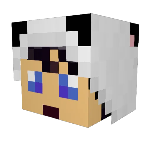 dawson5 Minecraft avatar head, 3D render