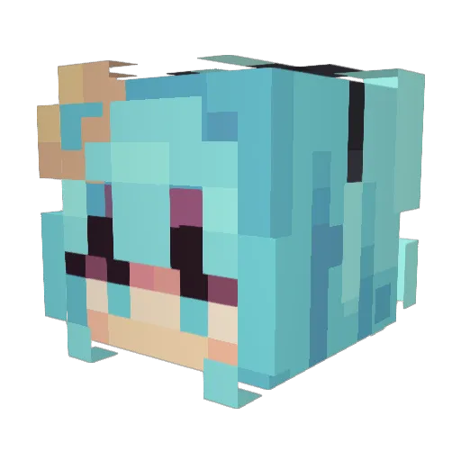daxwax Minecraft avatar head, 3D render