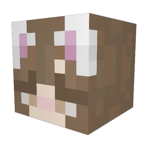 dayn_misaa Minecraft avatar head, 3D render