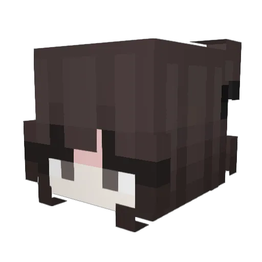 daysire Minecraft avatar head, 3D render