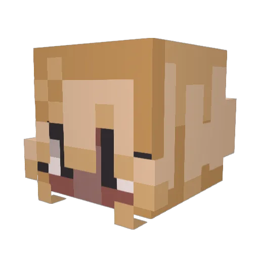 dayspade Minecraft avatar head, 3D render